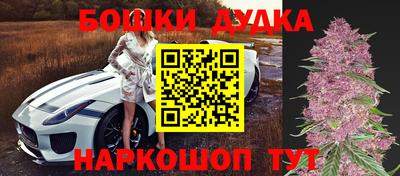гидропоника Канаш