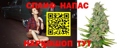 винт Кандалакша