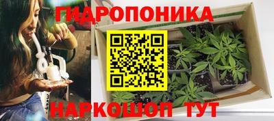гидропоника Канаш