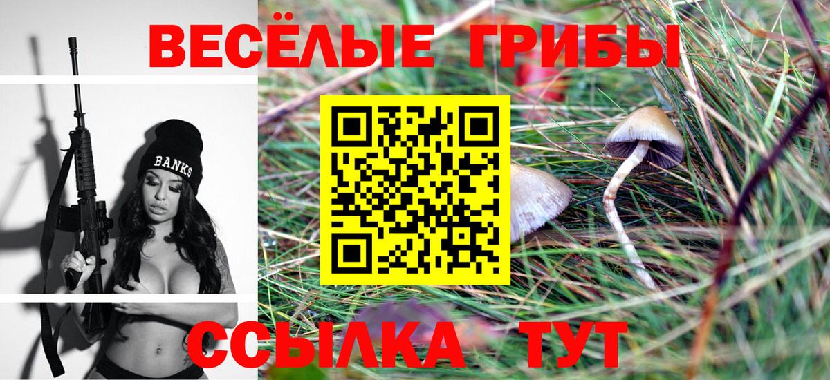 Псилоцибиновые грибы MAGIC MUSHROOMS  Вход с VPN  Галлюциногенные грибы прущие грибы  Георгиевск 